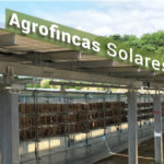 Agrofincas